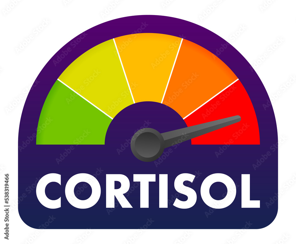 Flat cortisol level for medical design. Flat vector illustration. High blood glucose level Flat cortisol level for medical design. Flat vector illustration. High blood glucose level