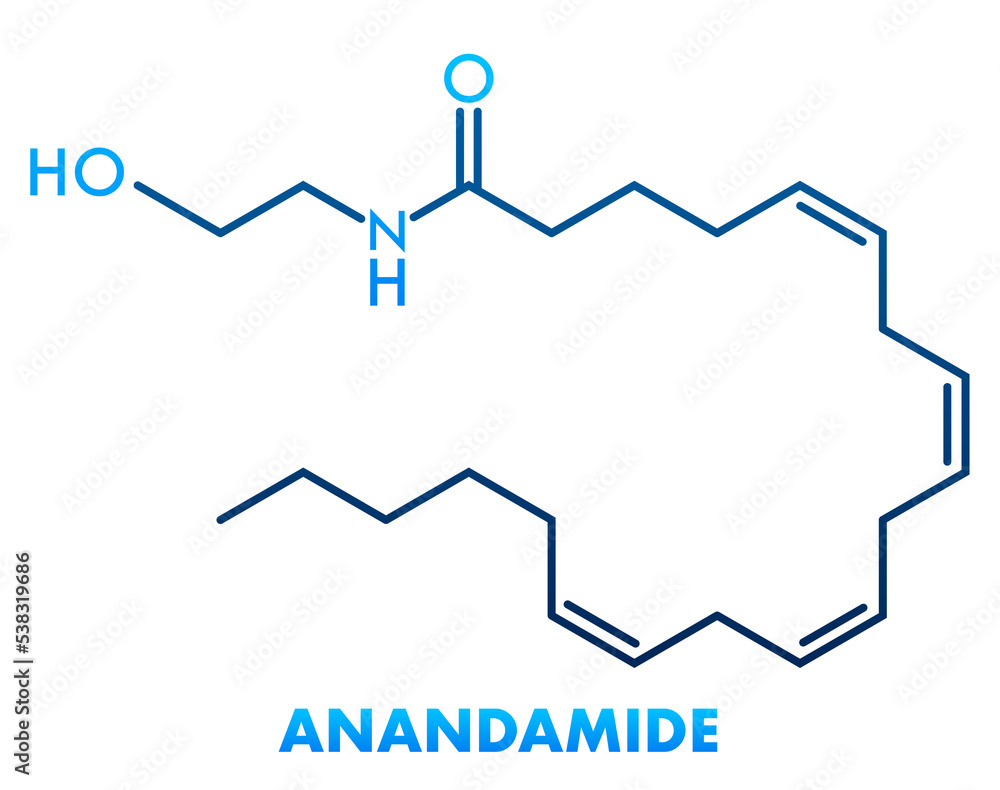 Anandamide concept chemical formula icon label, text font vector illustration Anandamide concept chemical formula icon label, text font vector illustration
