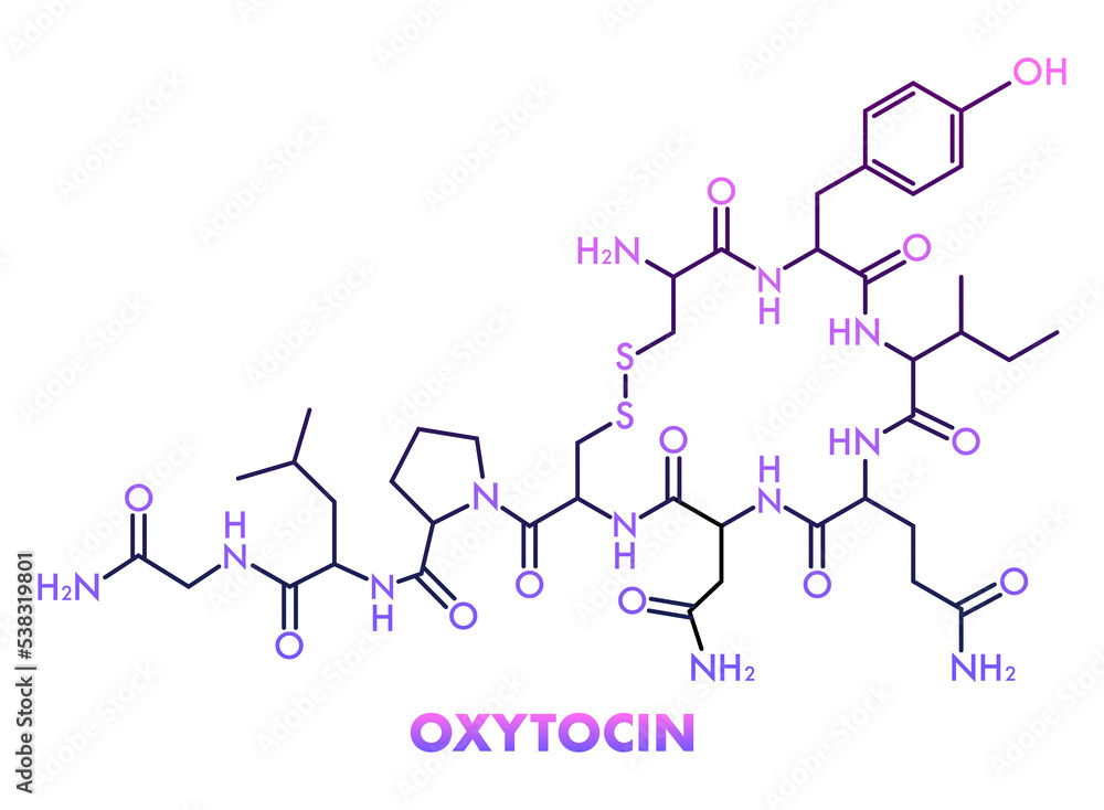 Oxytocin chemical formula, hormone of love. Vector stock illustration. Oxytocin chemical formula, hormone of love. Vector stock illustration.