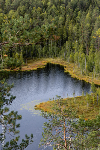 Zoomed in view of a Finnish lake and forest landscape in Repovesi National Park in autumn
