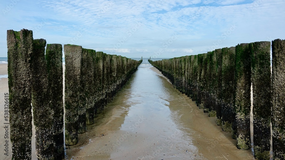 Wellenbrecher aus Holz am Nordseestrand