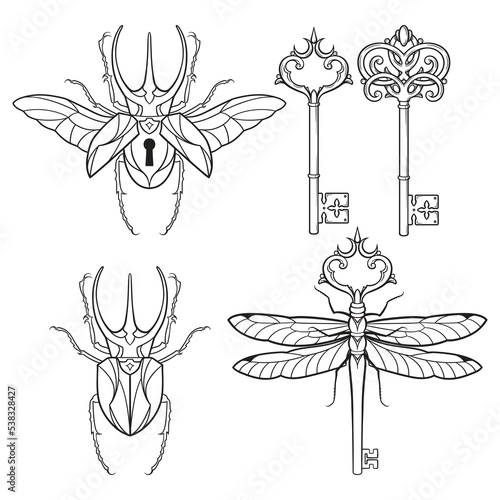 Set of skeleton keys, bug padlock and dragonfly in vintage style coloring book pages for kids and adults hand drawn line art print or tattoo design vector illustration