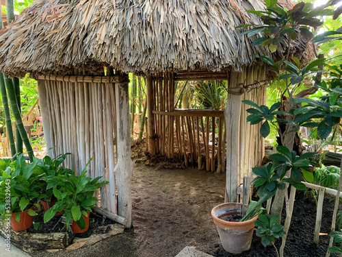 Fotografie An empty tropical hut in a jungle