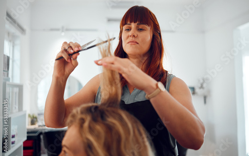 Hairdresser, salon and haircut, woman and hair, comb and scissors for beauty and hair care service. Beautician, entrepreneur and small business, hairstyle and stylist with client for grooming.