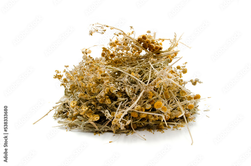 Dried isolated wormwood herb (Artemisia Absinthium) Dried isolated wormwood herb (Artemisia Absinthium)
