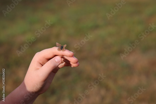 Butterfly sits on a hand of child © Germanroam
