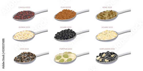 Set of seed in metal spoon. Flax seed, sesame, chia, pumpkin seeds, canola, sunflower, quinoa, hemp seed. Vector simple illustration isolated on white. Icon in flat style.
