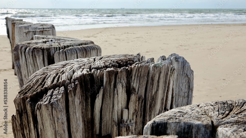 Verwittertes Holz, Wellenbrecher aus altem Holz am Nordseestrand