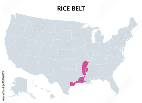 Rice Belt of the United States, political map. Region in the southern U.S. states, that grow a significant portion of the nations rice crop, including Arkansas, Louisiana, Mississippi and Texas.