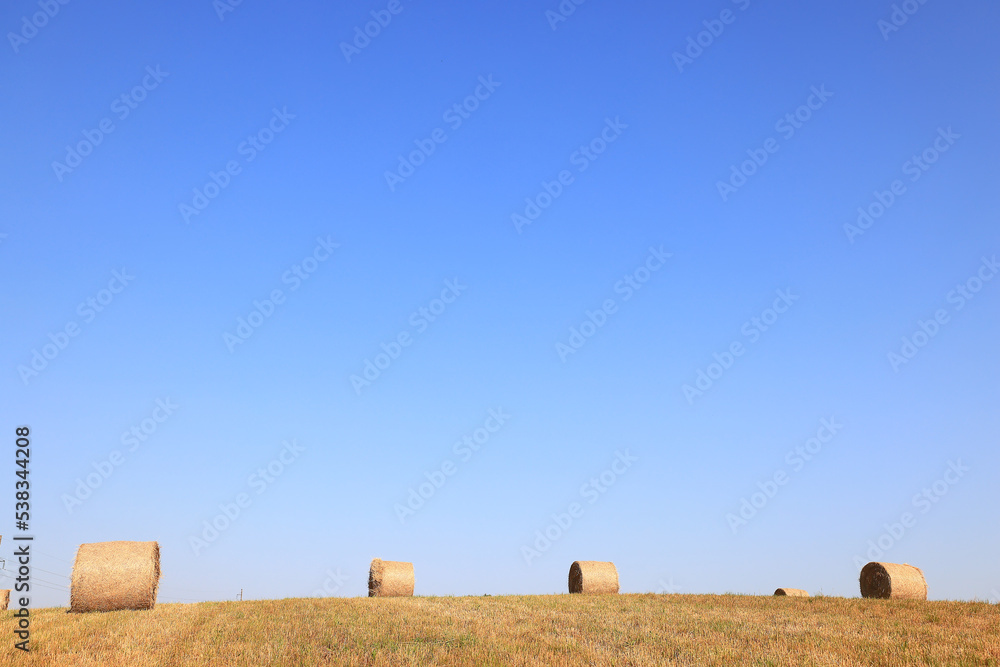 hay roll landscape nature summer farming