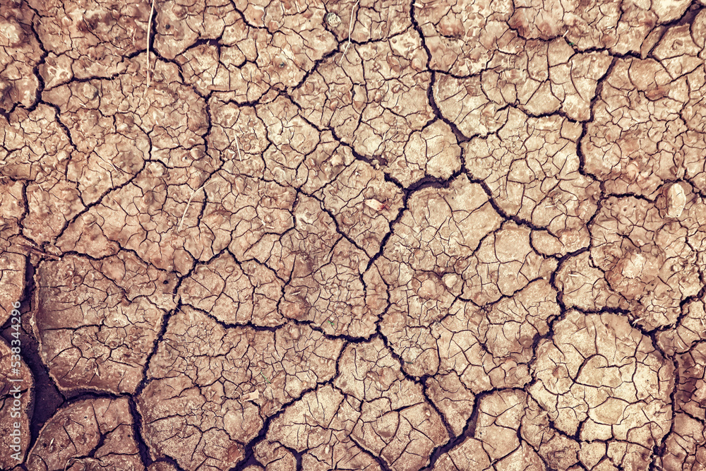 cracks on the ground desert texture background earth climate ecology cracks on the ground desert texture background earth climate ecology
