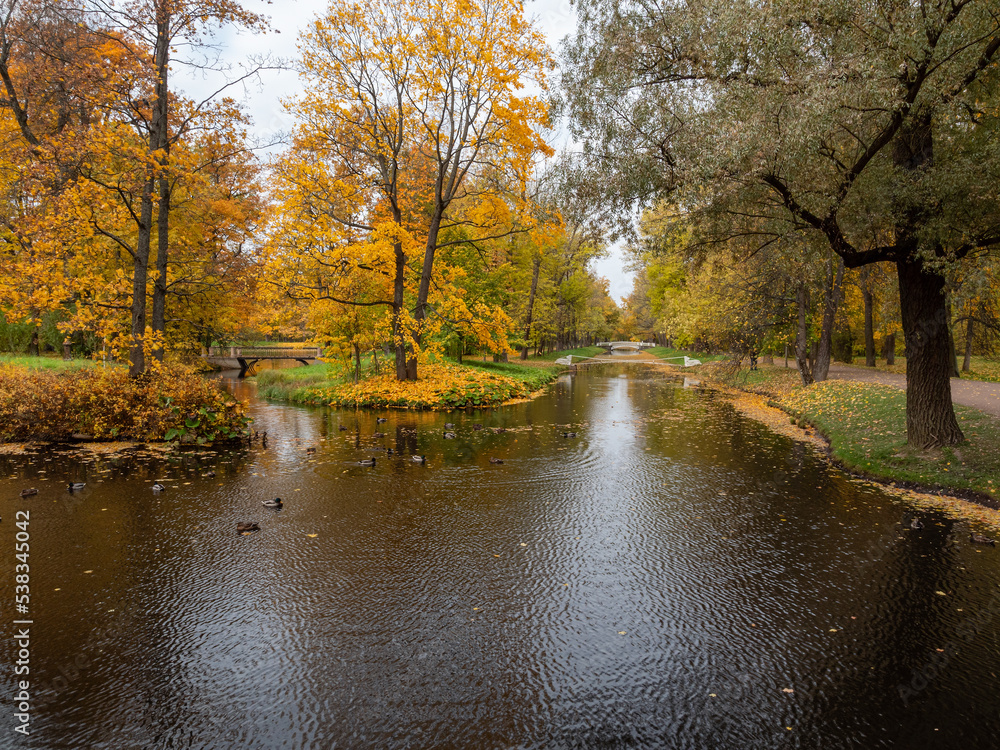 Alexander Park (Tsarskoye Selo). Pond in the park. Autumn maples in the park.