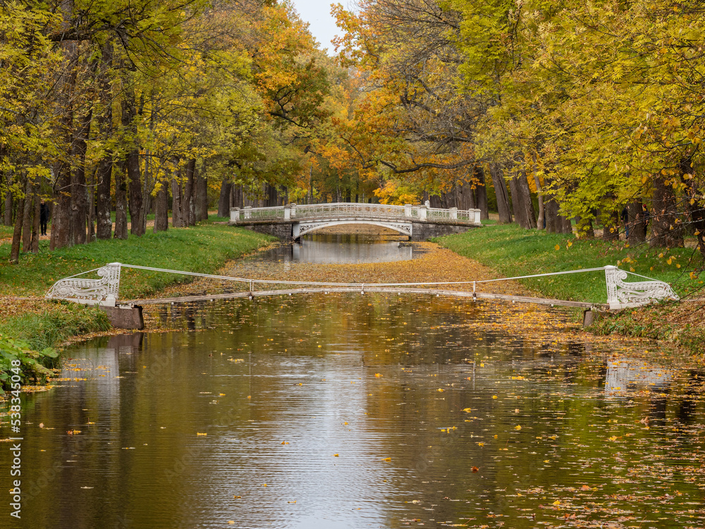Alexander Park (Tsarskoye Selo). Bridge over the canal. Autumn maple in the park.