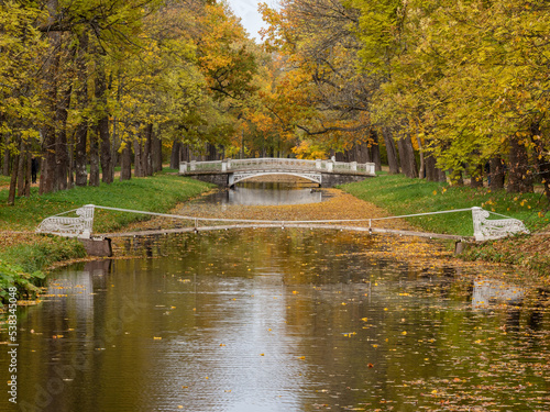 Alexander Park (Tsarskoye Selo). Bridge over the canal. Autumn maple in the park.