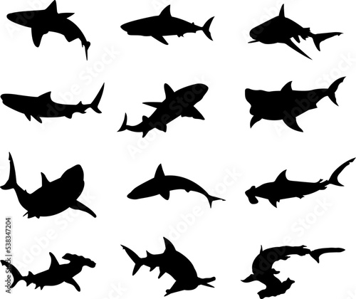 Vector Silhouette Collection of sharks for logos and artwork compositions