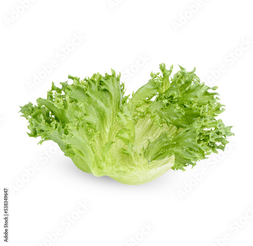 Green frillies iceberg lettuce isolated on transparent background (.PNG)