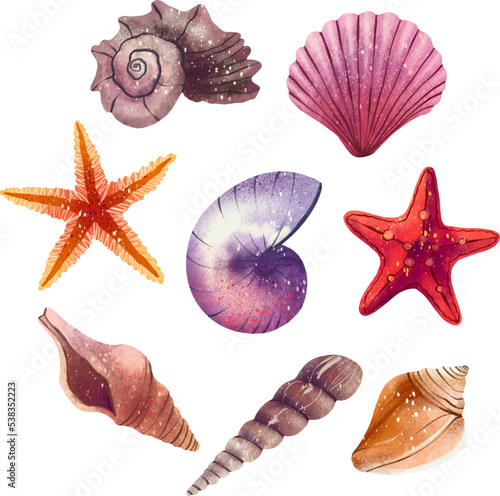 Illustration set of shells painted star sea shell clam pearl sea treasures digital