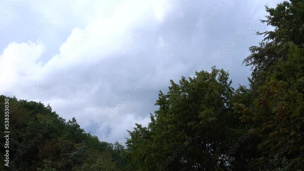 Strong wind swaying the treetops against a background of clouds floating in the sky, a natural backdrop Strong wind swaying the treetops against a background of clouds floating in the sky, a natural backdrop