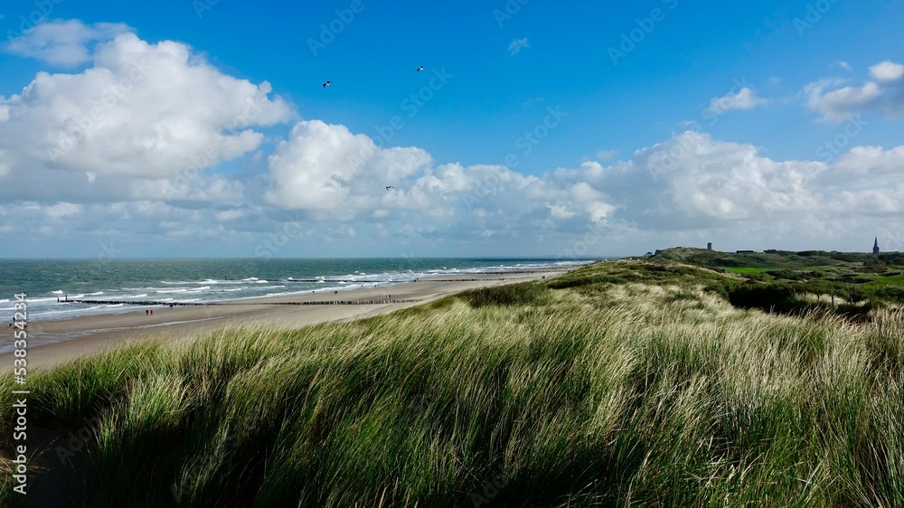 Dünenlandschaft an der Nordsee in den Niederlanden Dünenlandschaft an der Nordsee in den Niederlanden