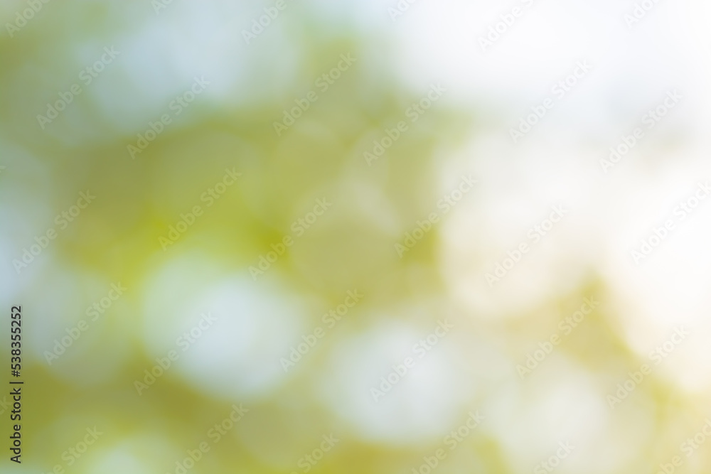 Fototapeta premium Natural green yellow blurred background. Green yellow bokeh on nature defocus abstract blur background. Abstract background in yellow and green tones. Natural outdoors bokeh background in green 