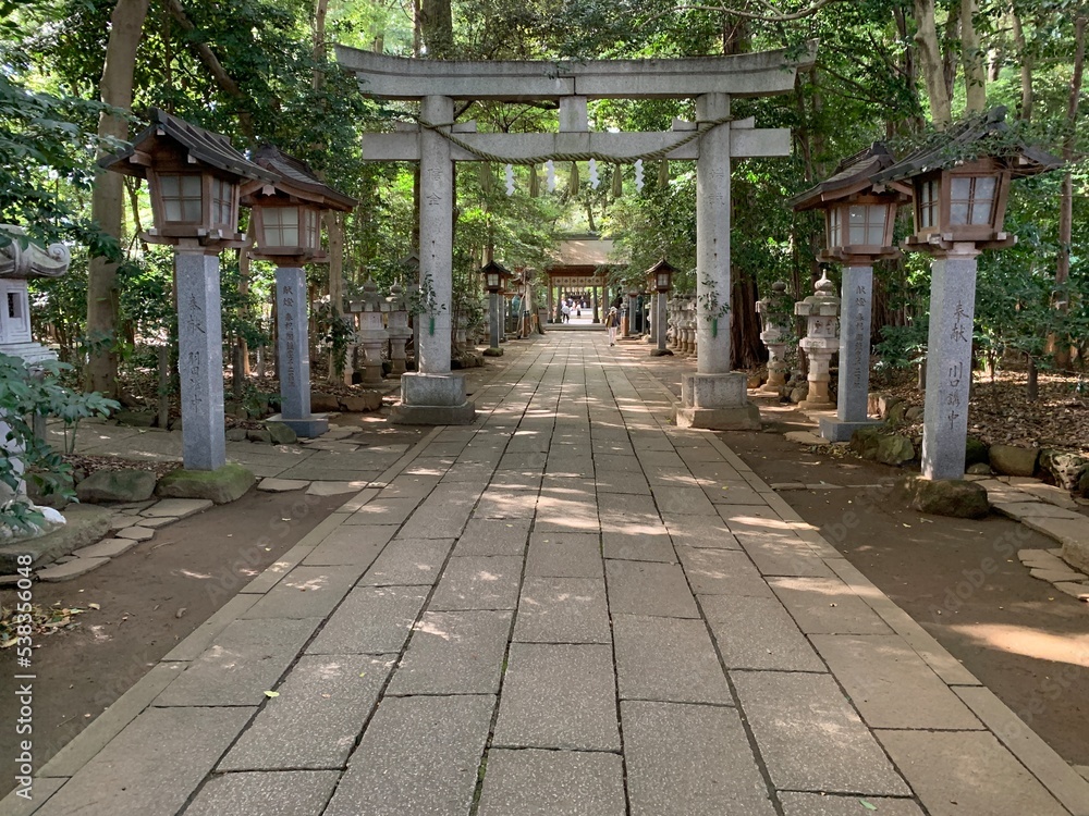 駒木諏訪神社の境内