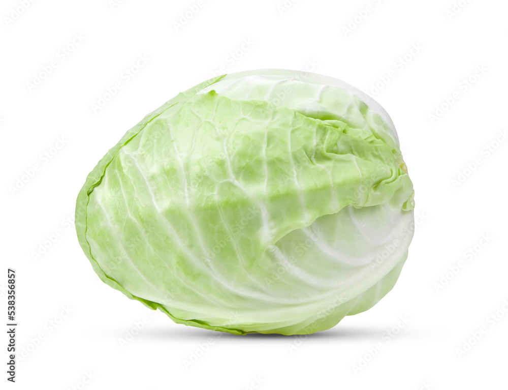 Fototapeta premium Pointed cabbage isolated on transparent png