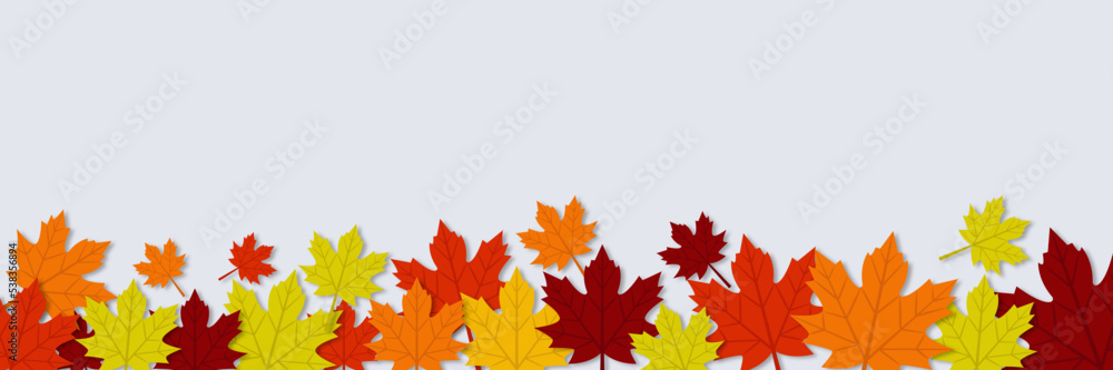 Fototapeta premium maple leaves background