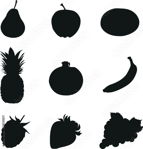 A vector collection of fruit for artwork compositions