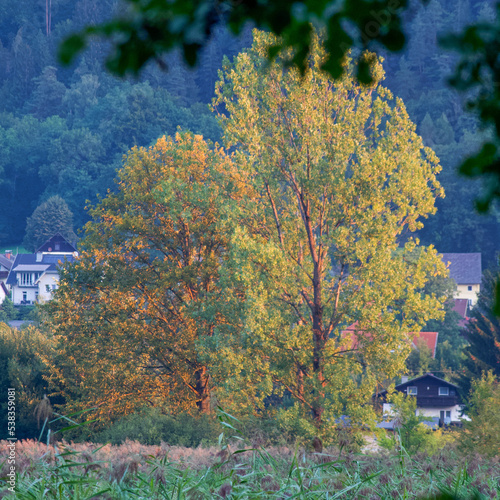 Bleistätter Moor Kärnten photo