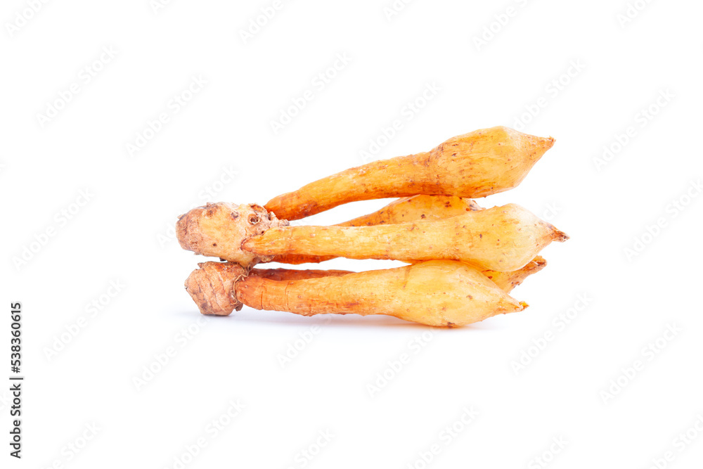 Finger root or Kaempferia isolated on white background, Organic vegetables, Herbal plant, Food ingredient Finger root or Kaempferia isolated on white background, Organic vegetables, Herbal plant, Food ingredient
