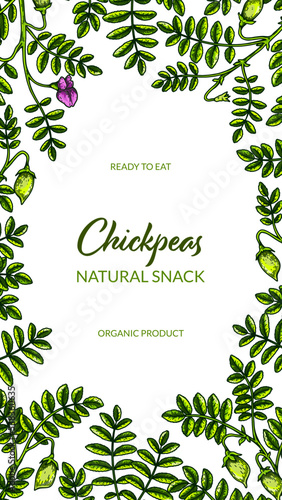 Colorful vertical chickpeas design. Hand drawn illustration in colored sketch style. Botany design for packaging, label, banner, poster