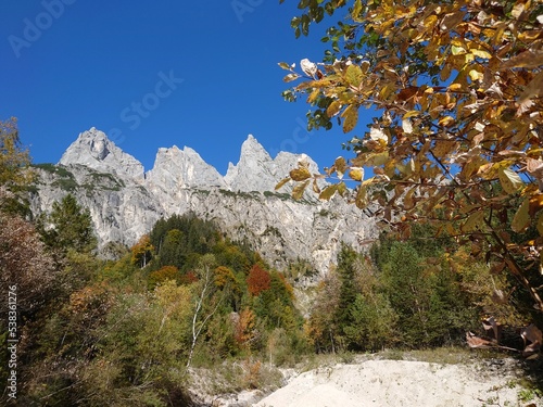 Auf der Alm photo