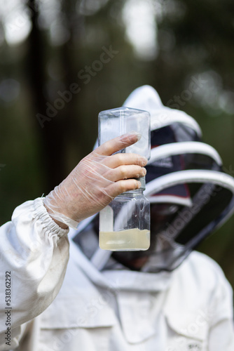 beekeeper testing for varroa mite using alcohol wash photo