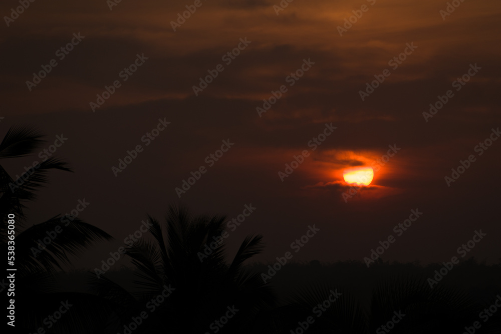 Stunning sunset with silhouettes of palm leaves in foreground.