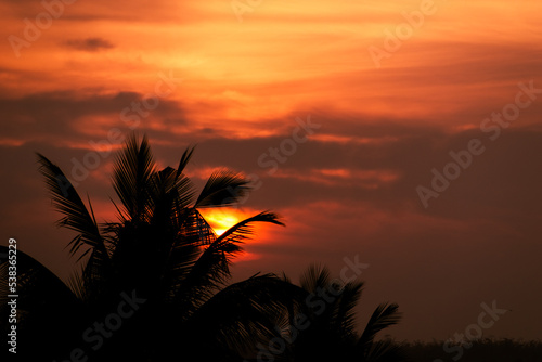 Beautiful Sunrise with silhouettes of palm leaves.