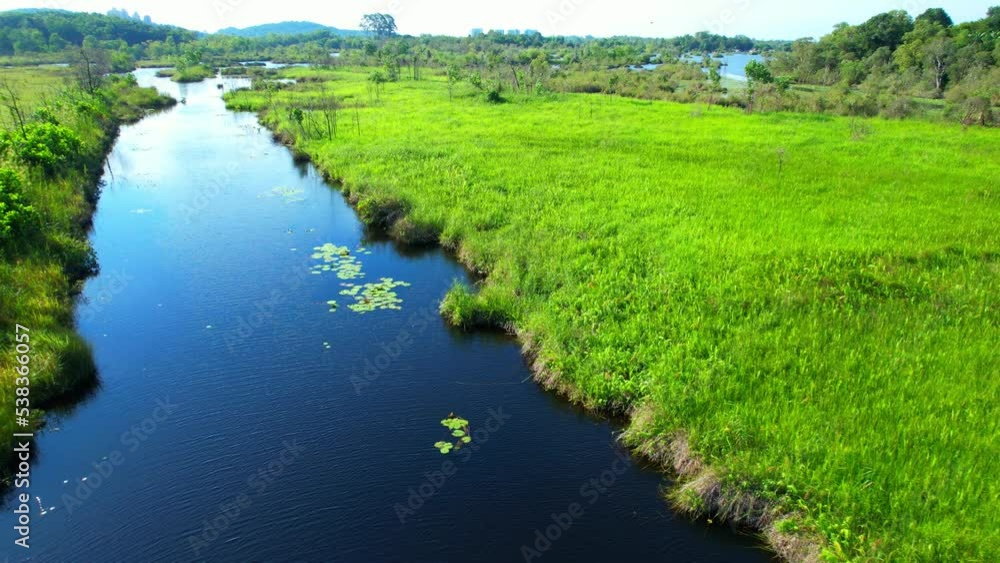 4K aerial view from a drone. wetlands with various trees represent the integrity of the forest. beautiful scenery of Rayong Botanical Garden, Rayong province, Thailand.
4K aerial view from a drone. wetlands with various trees represent the integrity of the forest. beautiful scenery of Rayong Botanical Garden, Rayong province, Thailand.