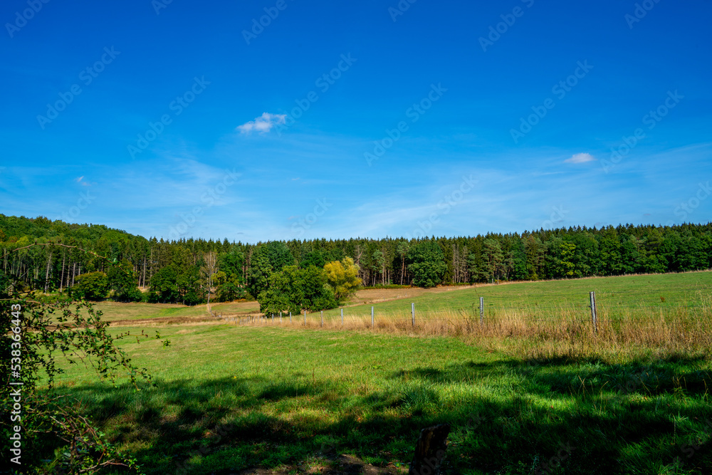 Forest landscape near Moresnet, Belgium
