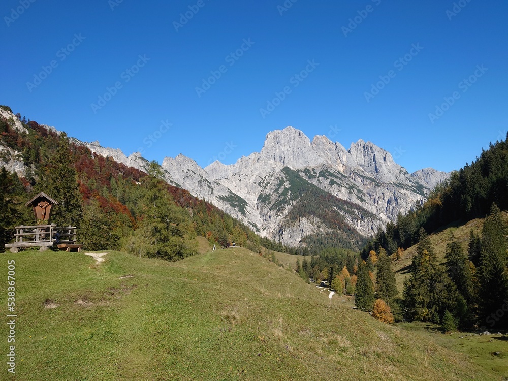 Auf der Alm Auf der Alm