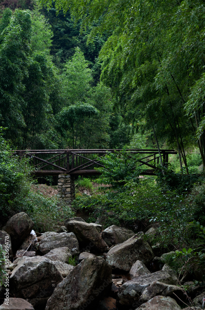 A small scene of wildness in Tianmu Mountain, Zhejiang A small scene of wildness in Tianmu Mountain, Zhejiang
