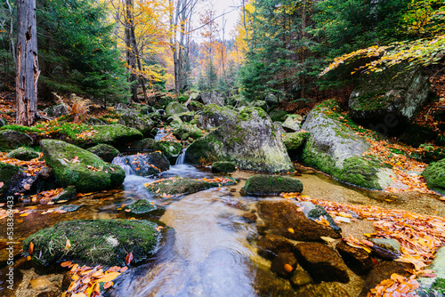 Creek in the woods in the autumn