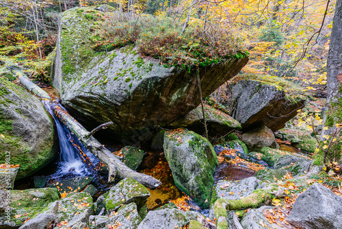 Fototapeta Naklejka Na Ścianę i Meble -  Creek in the woods in the autumn