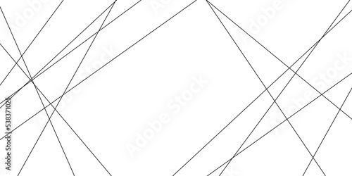 Abstract lines in black and white tone of many squares and rectangle shapes on white background. Metal grid isolated on the white background. nervures de feuilles mortes, fond rectangle and geometric
