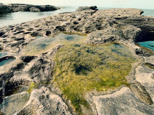 algae in the pothole photo