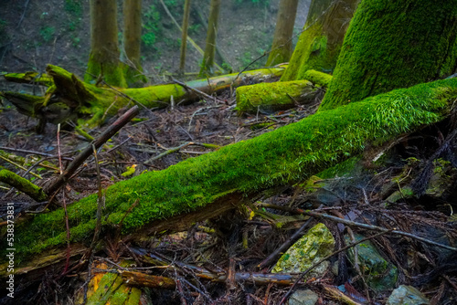 Akuba touge  Mount Mitake  Nabewari  Okutama  Tokyo  Japan