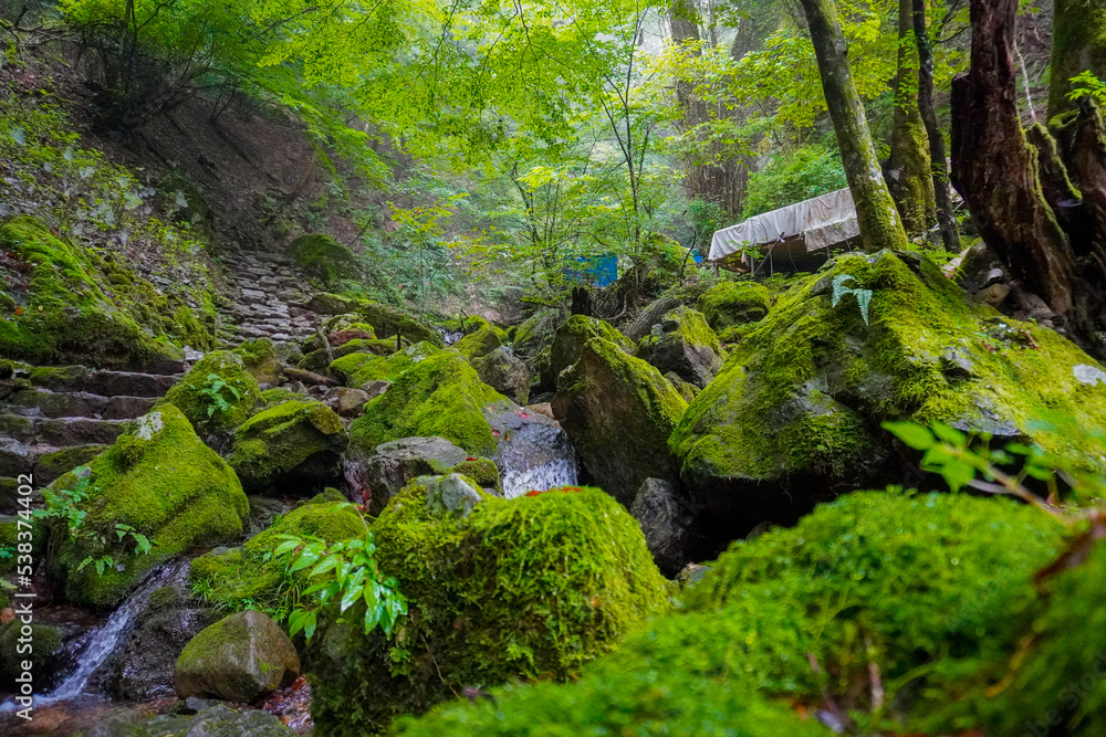Rock Garden, okutama, mount mitake, Tokyo, Japan Rock Garden, okutama, mount mitake, Tokyo, Japan