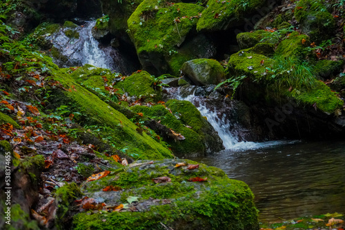 Rock Garden, okutama, mount mitake, Tokyo, Japan