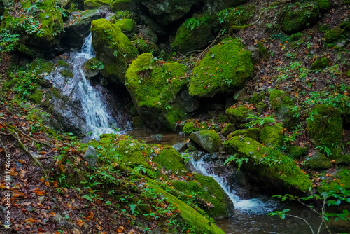 Rock Garden, okutama, mount mitake, Tokyo, Japan