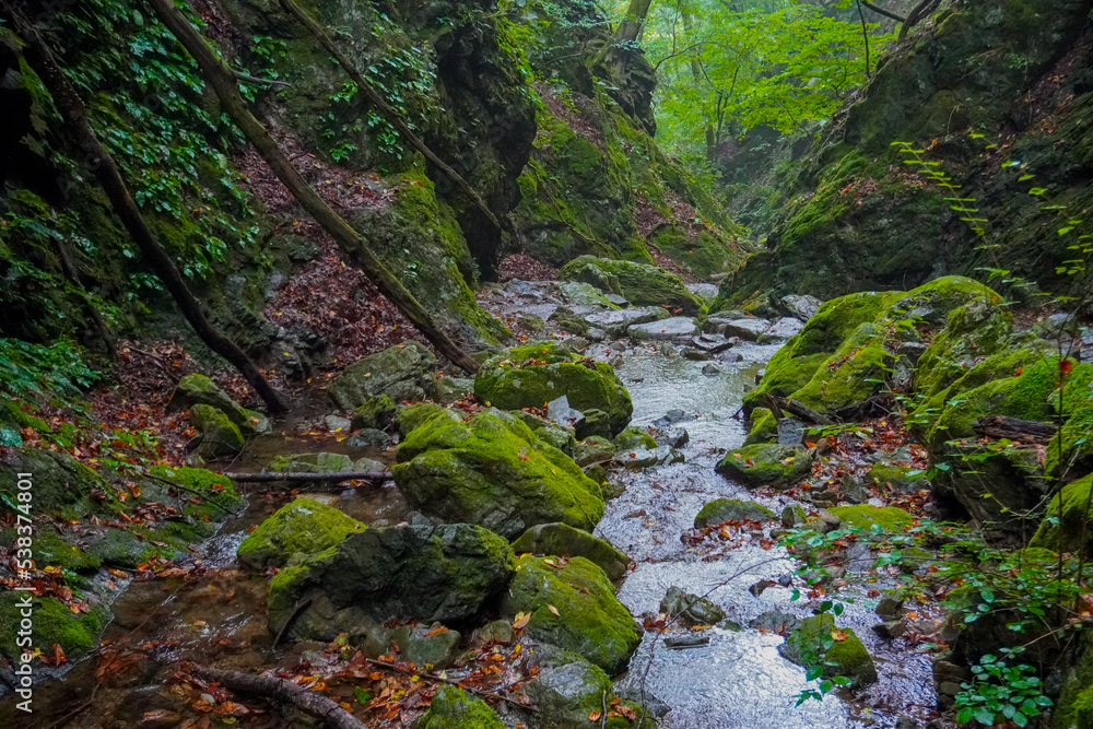 Rock Garden, okutama, mount mitake, Tokyo, Japan Rock Garden, okutama, mount mitake, Tokyo, Japan