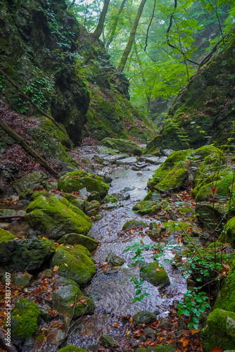 Rock Garden, okutama, mount mitake, Tokyo, Japan