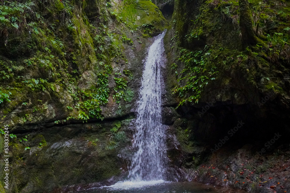 Nanayo Falls, mount mitake, Tokyo, Japan Nanayo Falls, mount mitake, Tokyo, Japan
